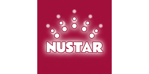 nustaronlinecasinologin.net Logo